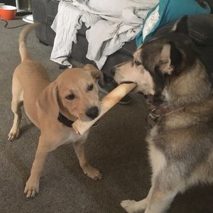 Meet your Posher, Charlene